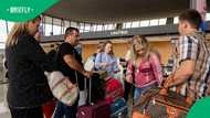 SA pet owners face R50,000 bill to relocate animals to US under Trump refugee programme