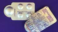 US requests for overseas abortion pills surges: study