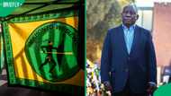 MK Party questions President Ramaphosa's swift acceptance of Andrea Johnson's resignation, SA reacts