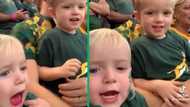 Springboks: TikTok video of 2 toddlers singing South African national anthem with passion trends