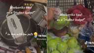 Woolworths groceries of over R4k on "student budget" has Mzansi riled up, SA slams man's TikTok