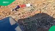 Farm worker napping on job sparks heated debate on South African employment