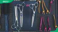 Can you bring scissors on a plane? Guidelines for safe travel