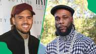 Burna Boy under fire after Chris Brown sold out FNB Stadium in 2 hours: "Now he knows we hate him"