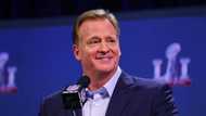 Roger Goodell net worth, age, family, job, movies, salary, profiles