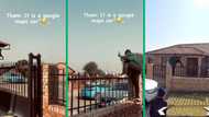 Man poses for Google Maps camera car and makes it on street view images, SA amused by TikTok video