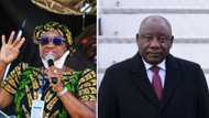 Bathabile Dlamini brands Ramaphosa as “outsider”, Mzansi dismisses her as “drunken master”