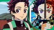 Does Tanjiro become a Hashira? The Demon Slayer’s path