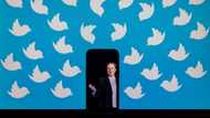 EU frets over Twitter job losses as hate speech grows