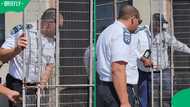 Cape Town teacher faces jail after Cape of Good Hope SPCA seizes 16 animals from Philippi property