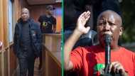 Julius Malema dances in East London Magistrates Court in TikTok video, netizens cheer him on