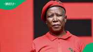 EFF Gauteng backs Julius Malema to lead party for 3rd term, support leaves South Africans divided