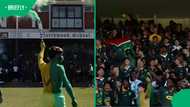 "Forever green and gold": Durban school drops coldest anthem honouring Springboks
