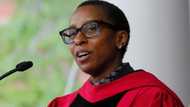 Peeps inspired by Claudine Gay, Harvard University's 1st black female president