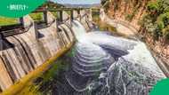 Expert concerned by state of Hartbeespoort Dam's shares warning in TikTok video