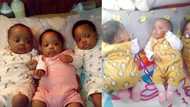 Mzansi mommy shares beautiful pics of her adorable newborn triplets
