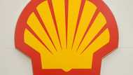 Shell to pay 15 mn euros to Nigerian farmers over pollution