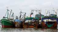 Ivory Coast imposes fishing bans in bid to conserve stocks