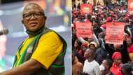 Fikile Mbalula continues to slam EFF’s shutdown, accuses protesters of being anti-democratic