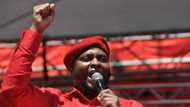 Floyd Shivambu responds to requests and criticism of EFF members interviewing Chief Justice candidates