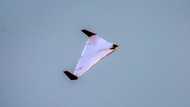 Iran to supply Russians with UAVs for Ukraine: White House