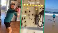 Petrified man shares funny viral TikTok video of him running away from spider infestation, Mzansi howls