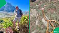 "Sincere condolences": Man bitten by Cape Cobra while napping under a tree passes away, SA grieves