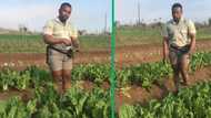 Mpumalanga farm manager shares advice for growing commercial produce, SA appreciates video