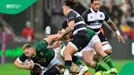 Springboks forward poised for comeback after tough Rugby Championship injury spell