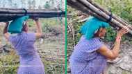 TikTok video shows young woman struggling to carry firewood on her head, Mzansi netizens react with laughter