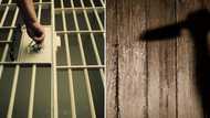 49 -year-old man gets life sentence for stabbing girlfriend to death, SA reacts