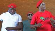 Dali Mpofu: Floyd Shivambu slams critics, brings Cyril Ramaphosa up