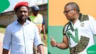 Fikile Mbalula fuels speculation on Dr Mbuyiseni Ndlozi's future, sparks humour and criticism online