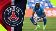 PSG advised to consider signing Osimhen amid injury to club striker