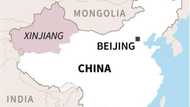 Deadly Xinjiang fire stirs anger at China's zero-Covid policy