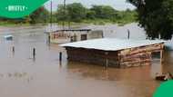 Limpopo floods: death toll rises to 17 as government declares national disaster