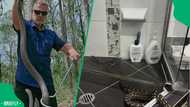 “He’s trying to get away”: Australian gent catches a vicious snake in his shower