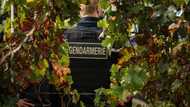 French police bust gang selling fake Bordeaux wine