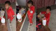 Mzansi reacts to video of adorable 2 year-old boy making mom breakfast at 3am