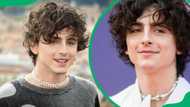 Is Timothée Chalamet gay? Everything about the American actor