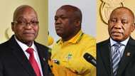 KZN premier Sihle Zikalala tight-lipped on presidential pardon for Zuma