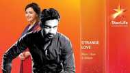 Strange Love StarLife: Cast, episodes, plot summary, full story, teasers