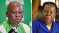 Herman Mashaba apologises for body shaming Naledi Pandor, SA disappointed: "Next time think before you tweet"