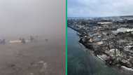 Maui wildfires devastate families as death toll soars to 55, locals jump in Ocean to escape blaze