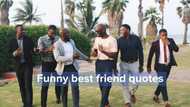 Funny best friend quotes