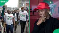 Julius Malema slams March and March, labels movement as a tribalist and vigilante group