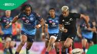 Johan Ackermann spots all Blacks weakness after Bulls’ 50–19 defeat ahead of Springboks Test