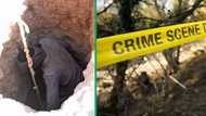 Zama zama kingpin’s killers still on the loose, no arrests made as saps investigate kidnapping and murder