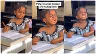 TikTok video of little girl being dramatic while doing maths homework goes viral, netizens feel her pain