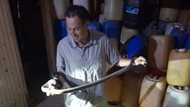 Gardener comes face to face with 2m black mamba in his dark room, Nick Evans captures the restless serpent